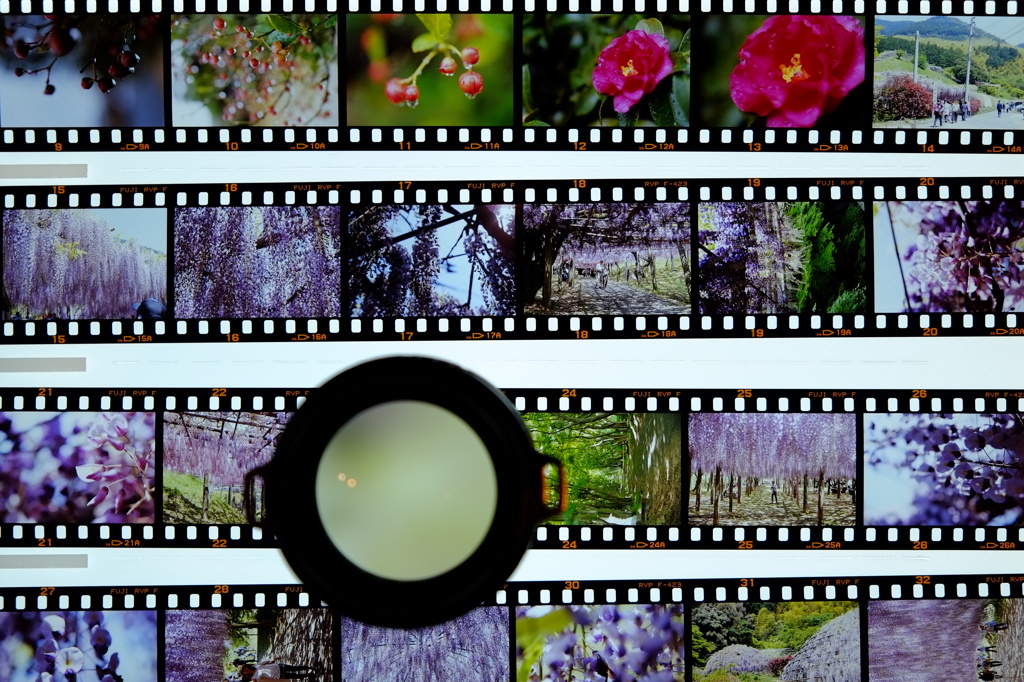 フィルムの確認