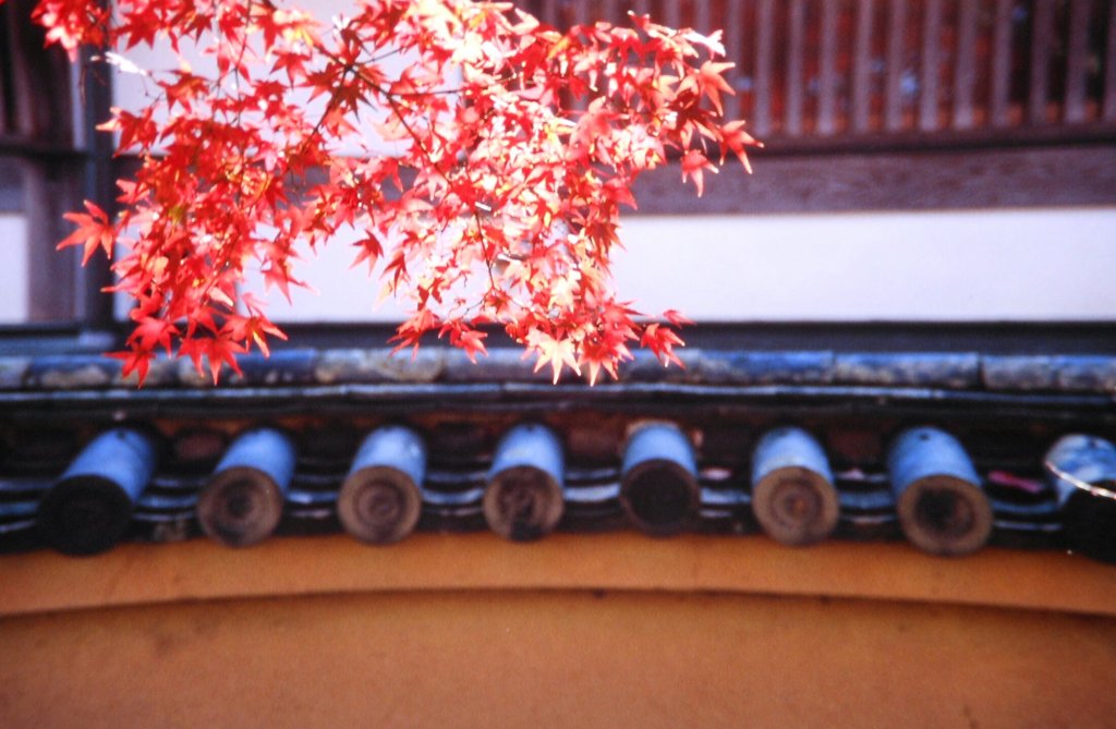 天竜寺にて