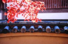 天竜寺にて