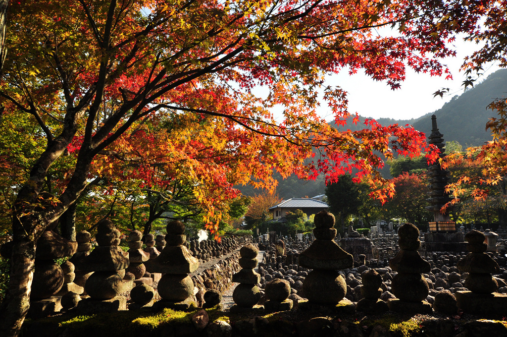 化野念仏寺の紅葉