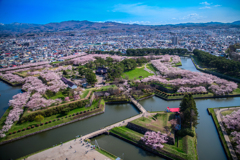 五稜郭の桜