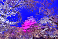 鶴ヶ城の夜桜2