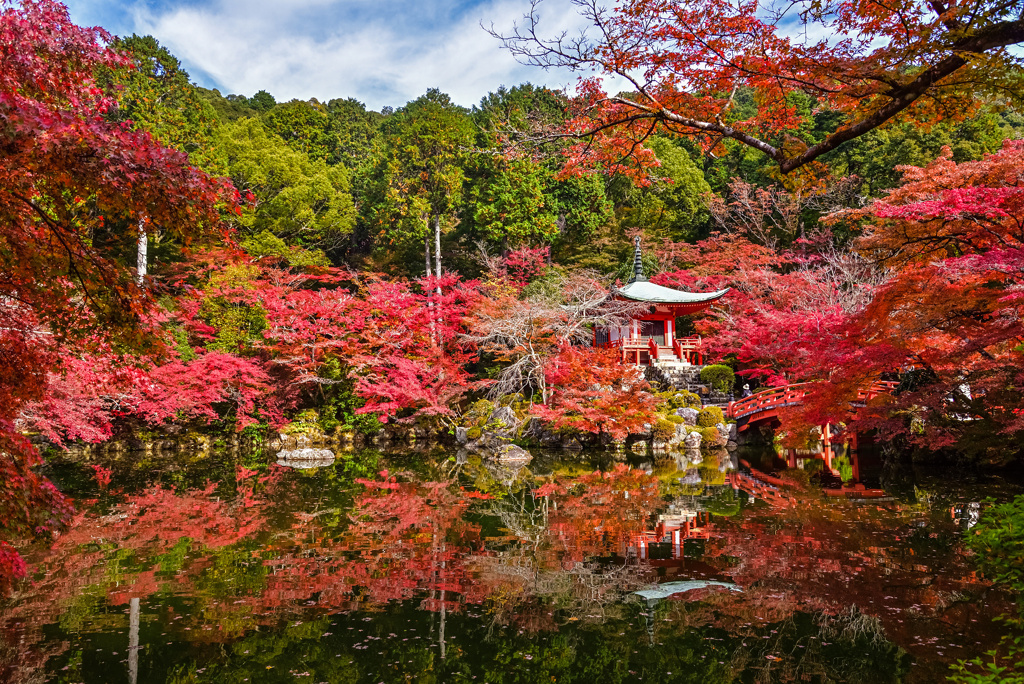 醍醐寺弁天堂の紅葉