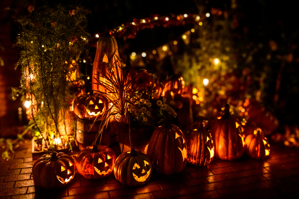 ハロウィンナイト
