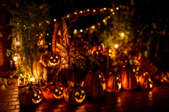 ハロウィンナイト