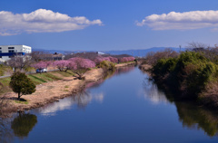 沼川