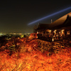 清水寺の夜2