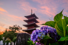 池上本門寺の夕焼け3