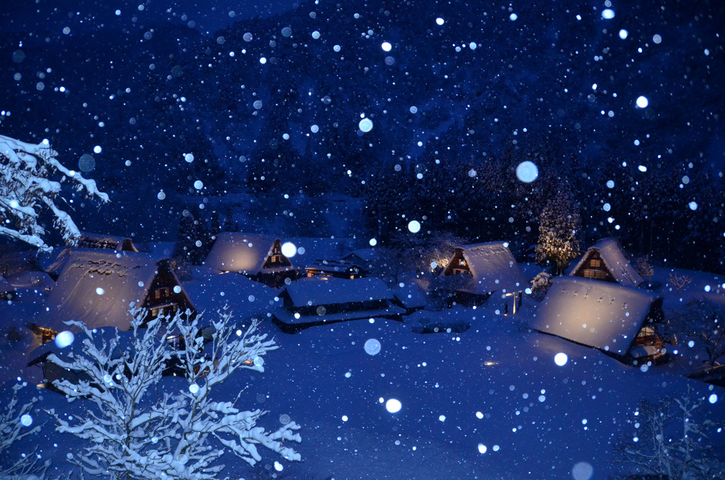 五箇山の雪2