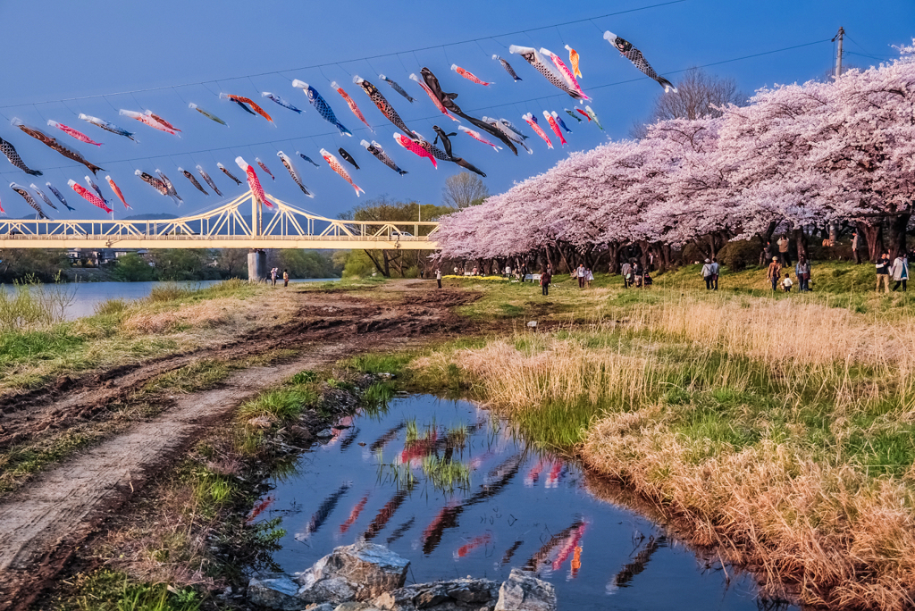 十年前の北上展勝地