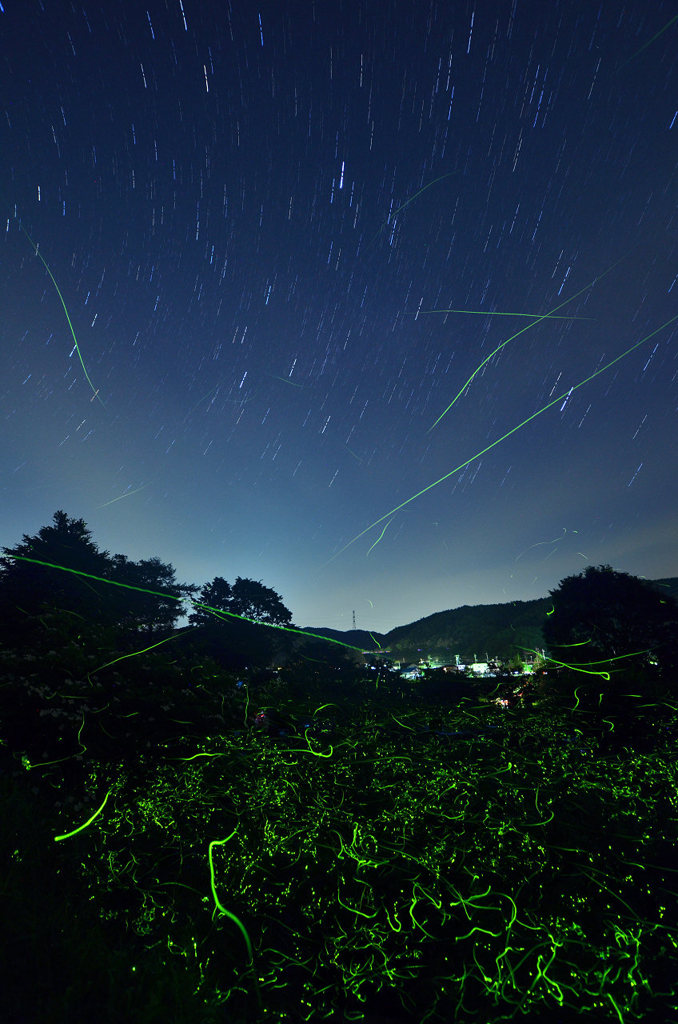星降る夜に