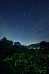 星降る夜に