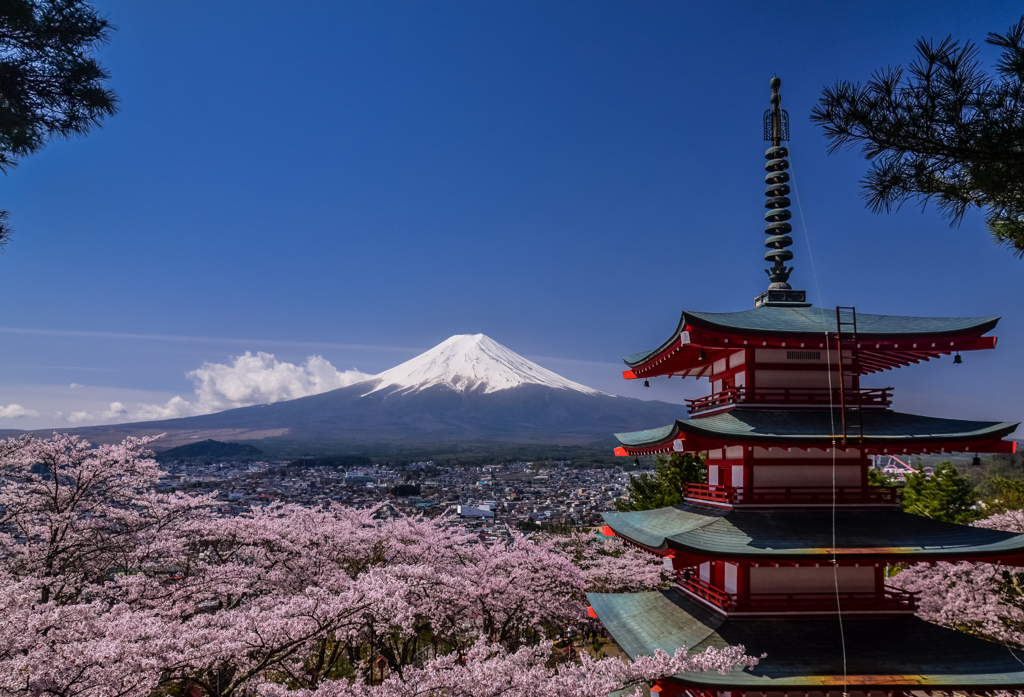 八年前の新倉山浅間神社