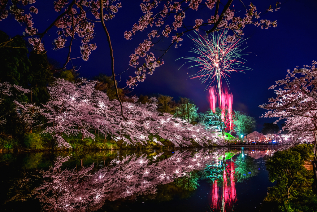 三年前の高田公園 夜桜と花火