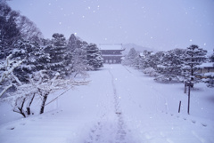 まるで雪国のような