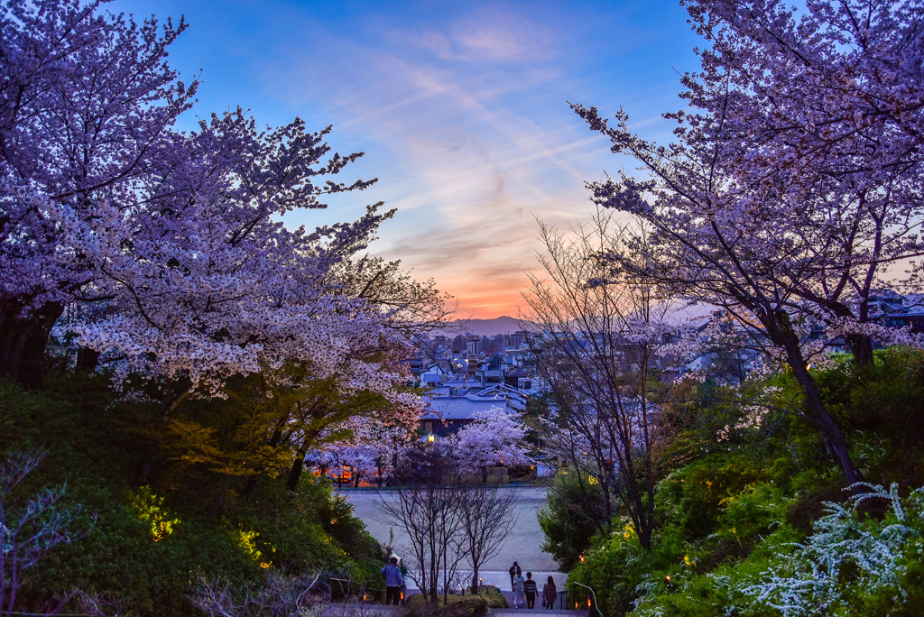 高台寺の夕暮れ