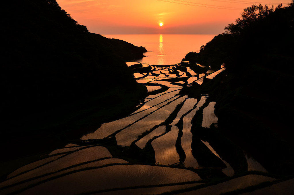 浜野浦の棚田