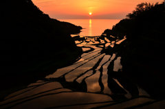浜野浦の棚田