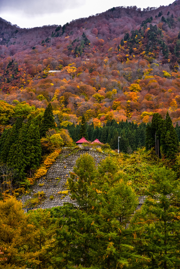 秋山郷の紅葉と薬師様・観音様