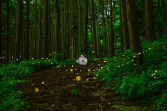 残念でした