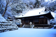 白い雪、青い雪