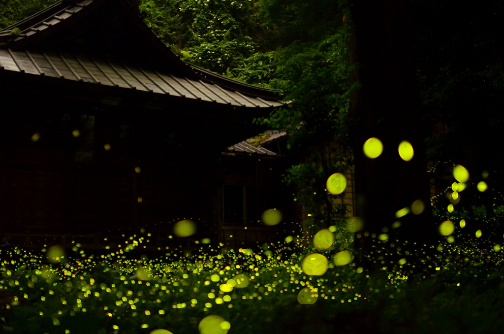 二岡神社境内