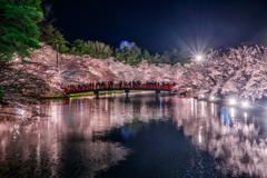 春陽橋の夜桜
