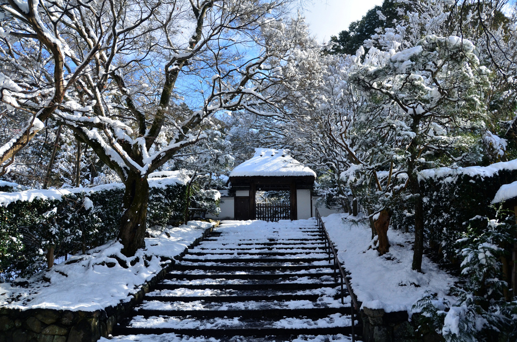 雪の安楽寺参道