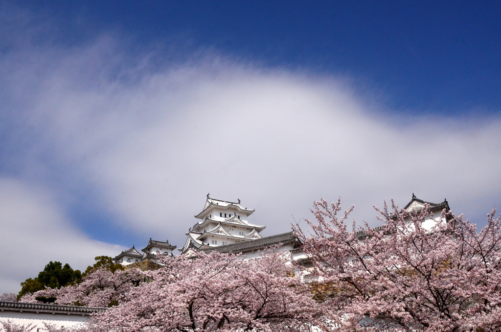 白い空、白い城