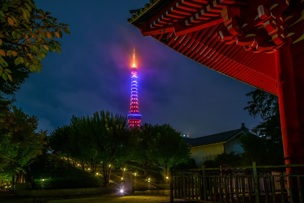 雨の芝公園