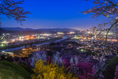 船岡城址公園の夜景(自宅編集版)