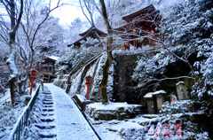 雪の奥嵯峨野