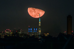 月と都庁とスカイツリー