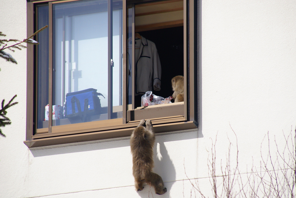 隠れんぼ