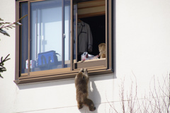 隠れんぼ