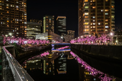 目黒川みんなのイルミネーション