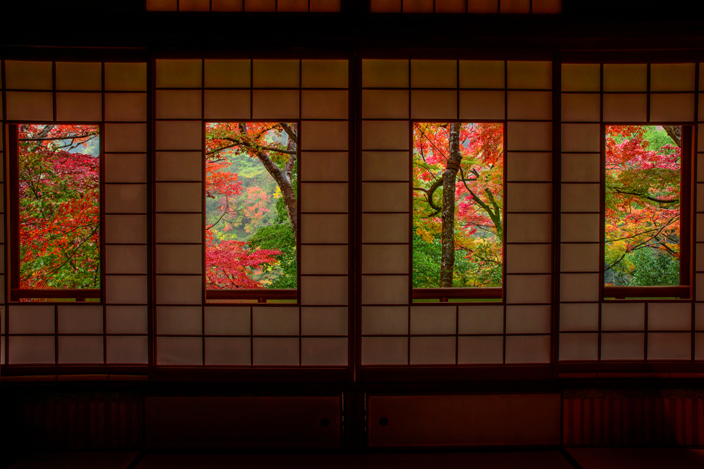 4枚の絵のような