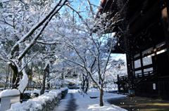 真如堂 雪のトンネル