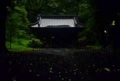 雨の日の撮影