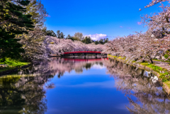 三年前の弘前公園 春陽橋