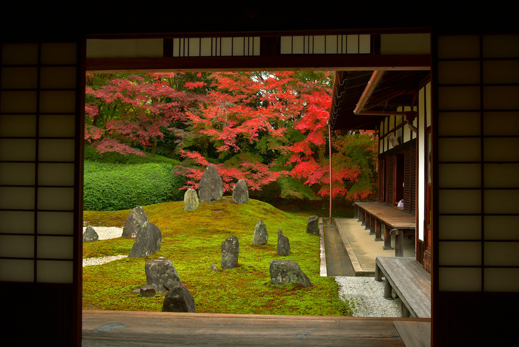 光明院の額縁紅葉