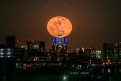 月と都庁とスカイツリー