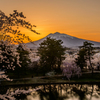 夕暮れ時の桜と岩木山