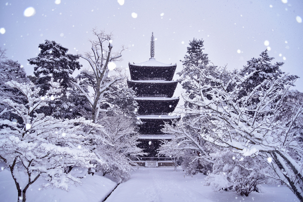 仁和寺の五重塔
