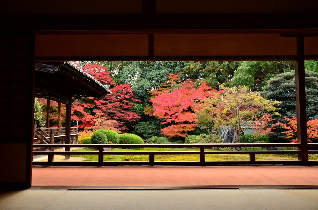 随心院 額縁紅葉