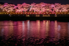 おおがわら桜まつり