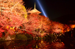 清水寺の夜