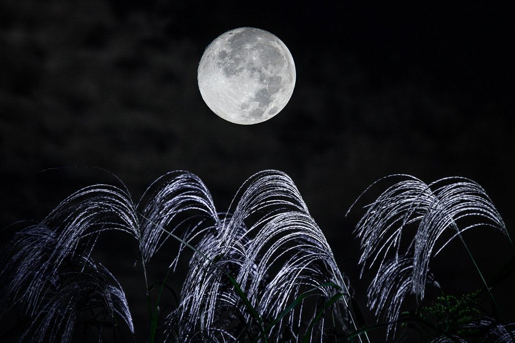 多摩川の秋(合成)