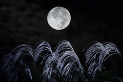 多摩川の秋(合成)