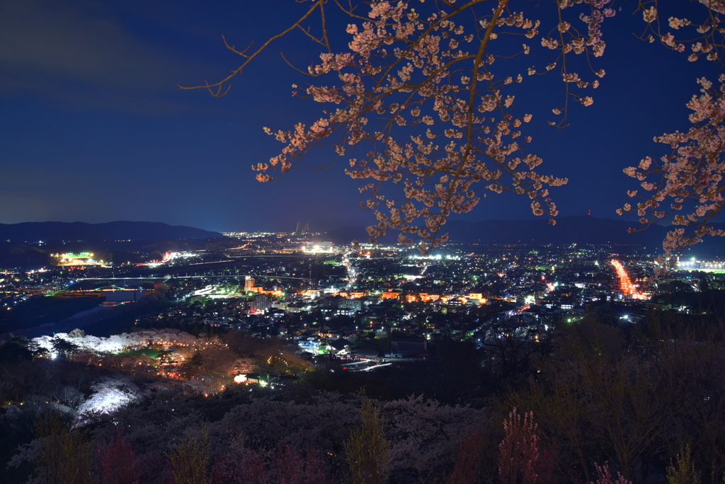 船岡城址公園の夜桜